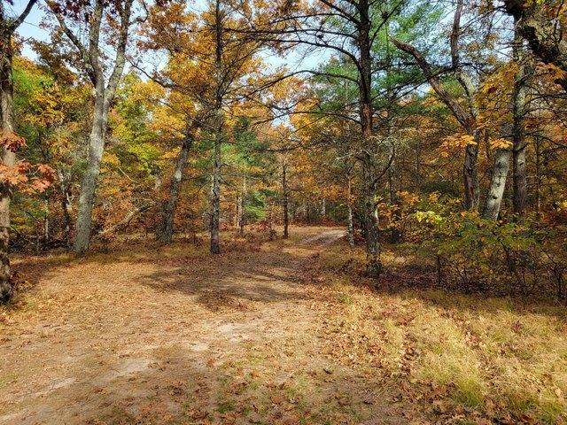 Land for sale in Hesperia, Michigan