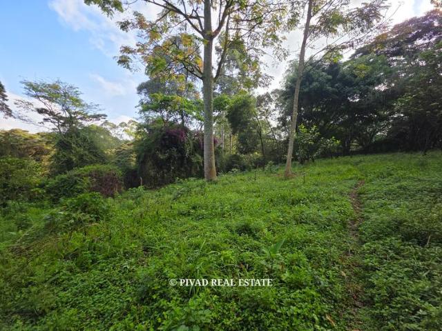 Land for sale in Nyakach, Kisumu