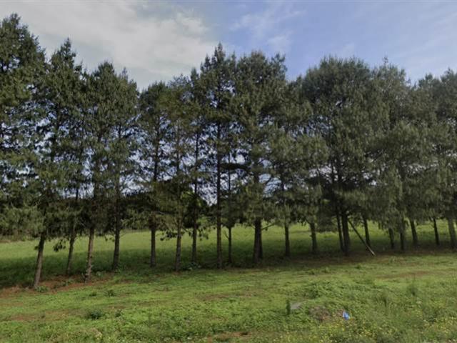 Land for sale in Umgungundlovu, Kwazulu-natal