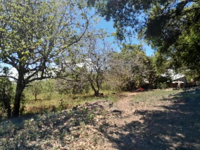 4.8 has en venta oportunidad de desarrollo excepcional en la zona de la'eterna primavera' de boquete /11.8611 acres for sale rare developme