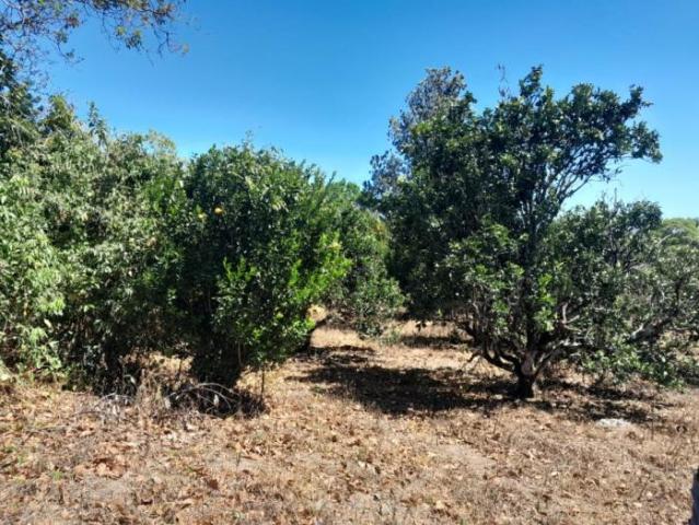 4.8 has en venta oportunidad de desarrollo excepcional en la zona de la'eterna primavera' de boquete /11.8611 acres for sale rare developme