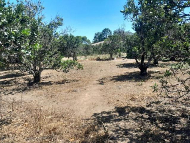 4.8 has en venta oportunidad de desarrollo excepcional en la zona de la'eterna primavera' de boquete /11.8611 acres for sale rare developme