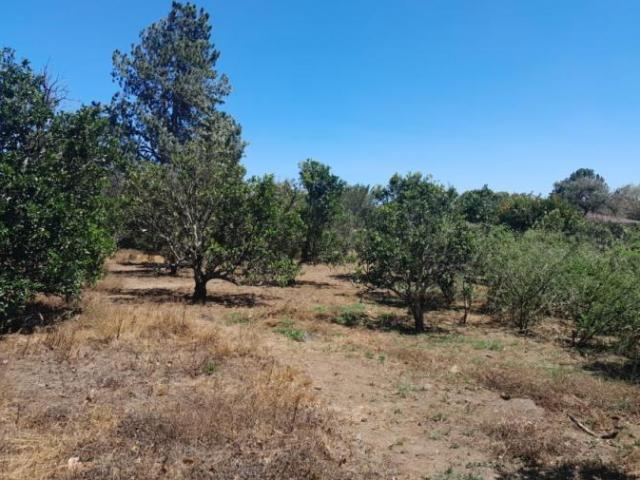 4.8 has en venta oportunidad de desarrollo excepcional en la zona de la'eterna primavera' de boquete /11.8611 acres for sale rare developme