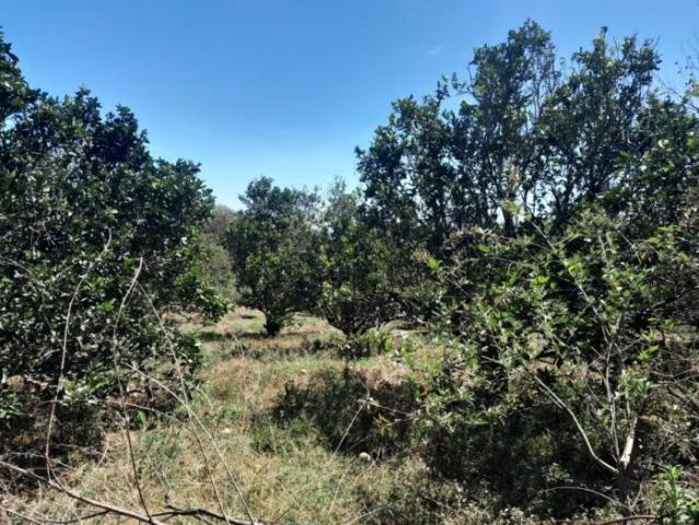 4.8 has en venta oportunidad de desarrollo excepcional en la zona de la'eterna primavera' de boquete /11.8611 acres for sale rare developme