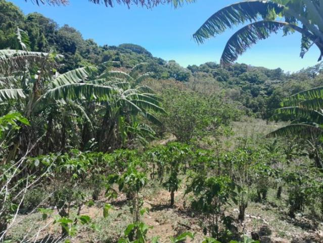 4.8 has en venta oportunidad de desarrollo excepcional en la zona de la'eterna primavera' de boquete /11.8611 acres for sale rare developme