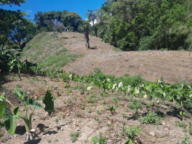 4.8 has en venta oportunidad de desarrollo excepcional en la zona de la'eterna primavera' de boquete /11.8611 acres for sale rare developme