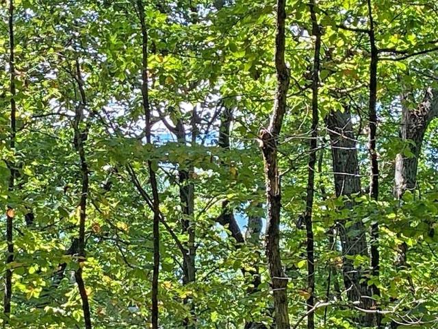 Land for sale in Dawsonville, Dawson County