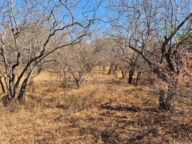 Property for sale in Mopani, Limpopo