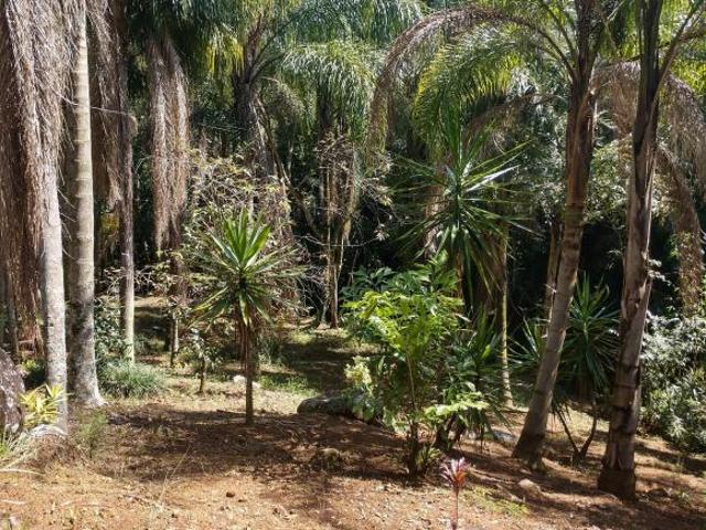 Terreno en venta en Fortín, Veracruz