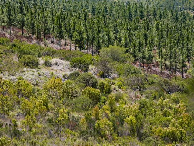 Property for sale in Garden Route District Municipality, Groot Brak Rivier