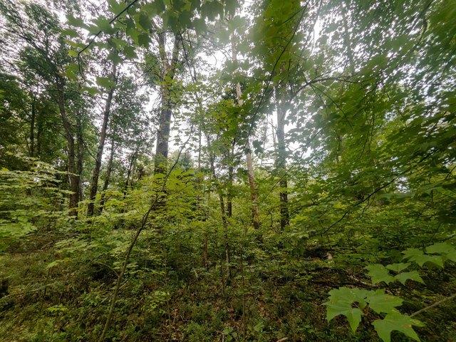 Land for sale in Juneau, Wisconsin
