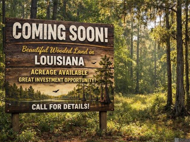 Land for sale in Denham Springs, Louisiana