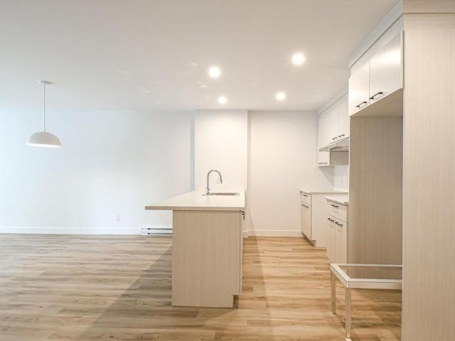 Apartment for rent in Saint-ambroise-de-kildare, Quebec