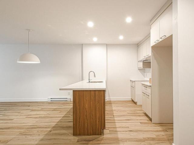 Apartment for rent in Saint-ambroise-de-kildare, Quebec