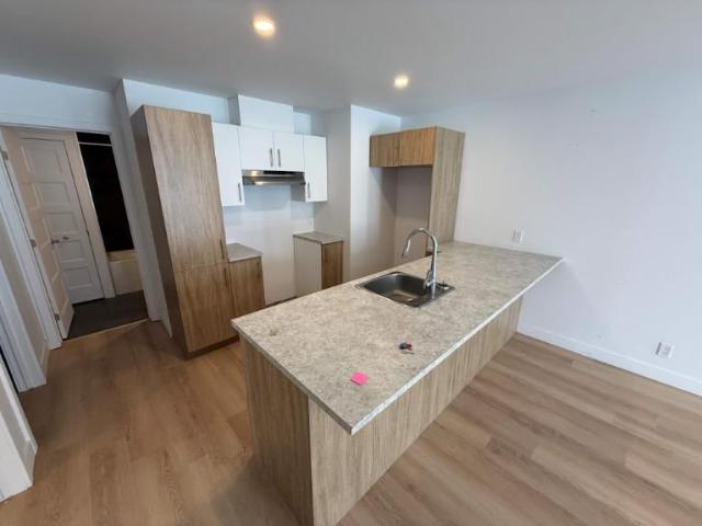 Apartment for rent in St. Esprit, Quebec