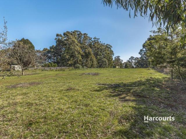 Land for sale in Penguin, Central Coast