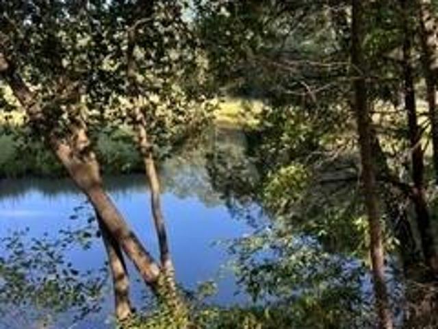 Land for sale in Virginia