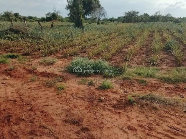 Land for sale in Kilifi