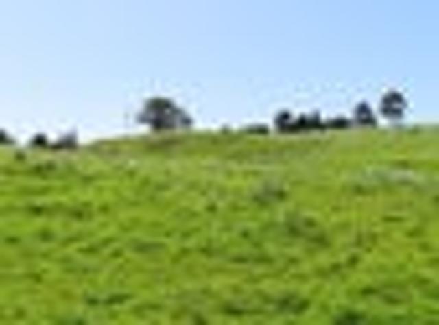 Land for sale in Tararua District