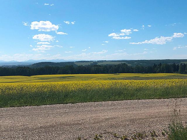 Land for sale in Lousana, Alberta