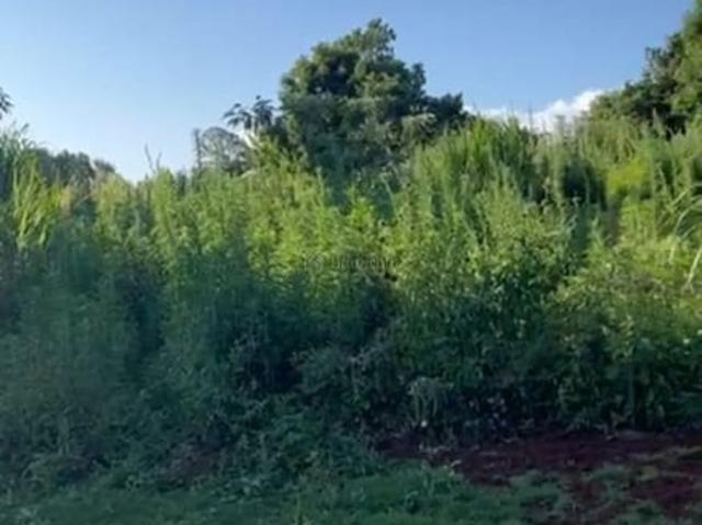 Land for sale in Kiambu