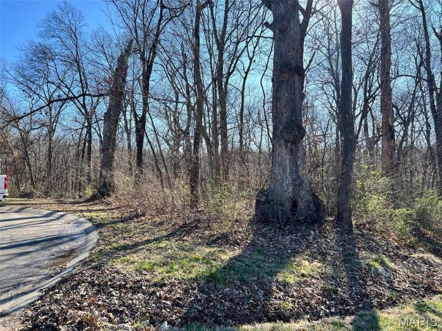 Land for sale in Hannibal, Missouri