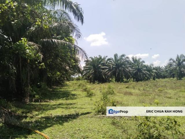 Shop for sale in Perak, Gopeng