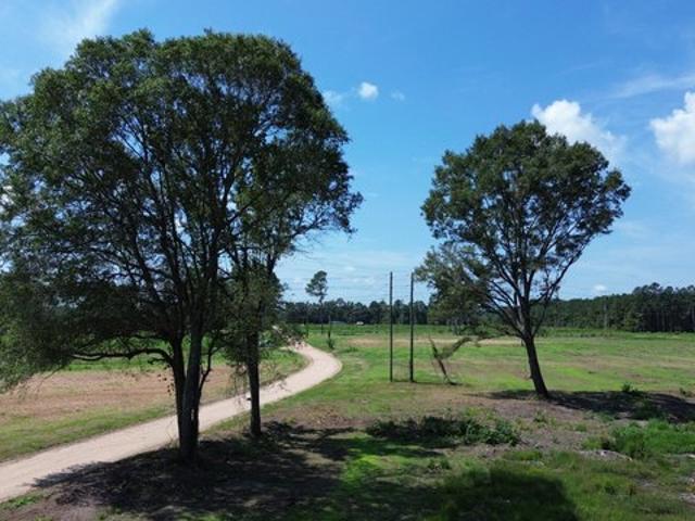 Land for sale in Vance, South Carolina
