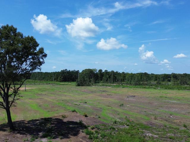 Land for sale in Vance, South Carolina