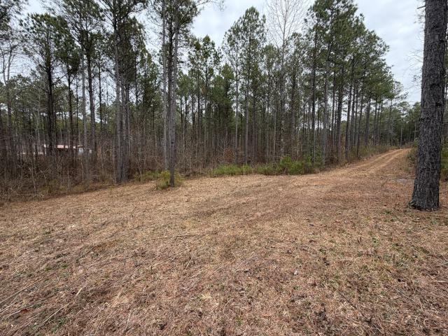 Land for sale in Tennessee