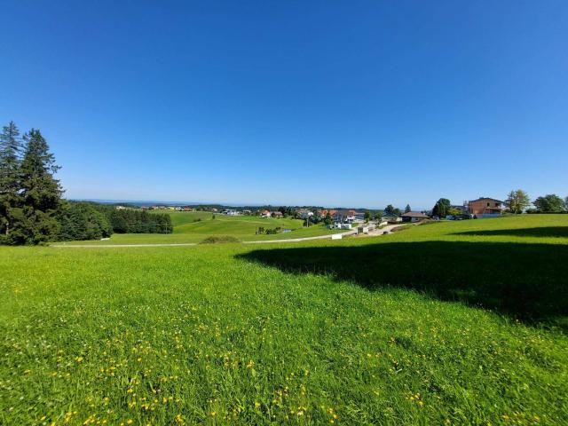 Immobilie kaufen in St. Johann am Walde, Oberösterreich