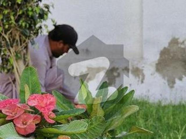 Apartment for rent in Peshawar, North West Frontier Province