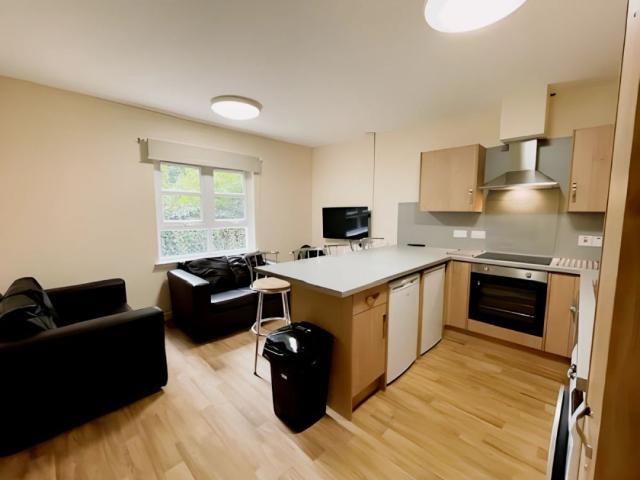 Room for rent in Top of the Town, Cambuskenneth