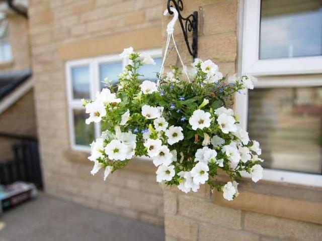 House for sale in Burnedge, Greater Manchester