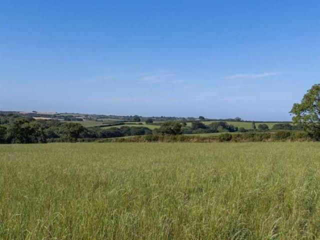 House for sale in Bulkworthy, Torridge