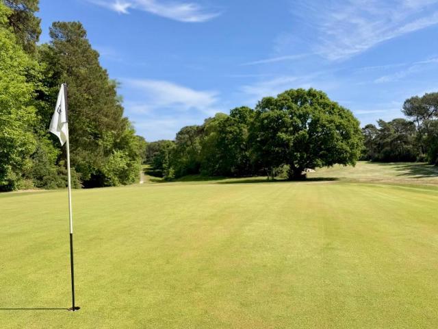 House for sale in Talbot Woods, Bournemouth