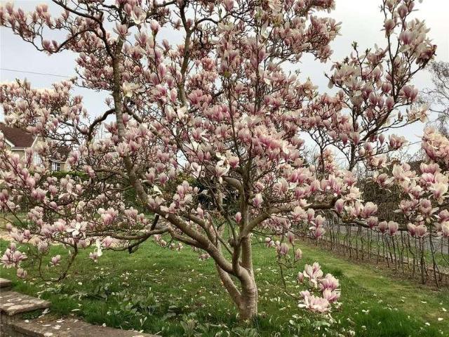 House for sale in Sherborne, East Dorset