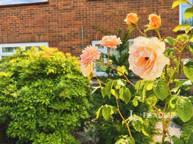 House for sale in Fordham Heath, Essex