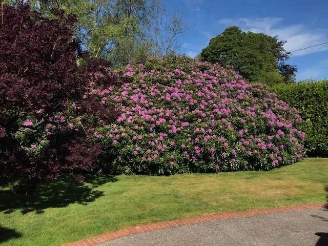 House for sale in Fole, Surrey