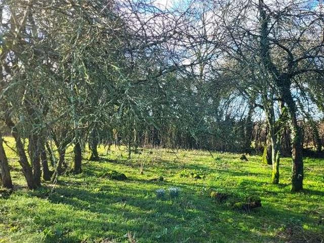 House for sale in East Dorset