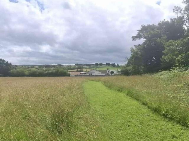 House for sale in Maesycrugiau, Llanllwni