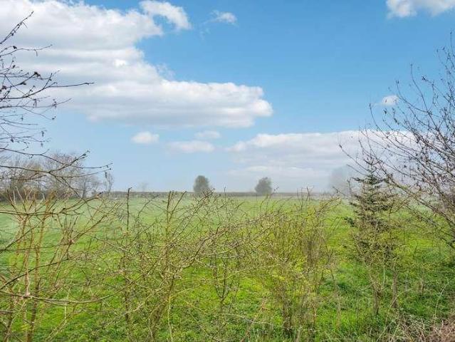 House for sale in Hogpits Bottom, Pouchen End