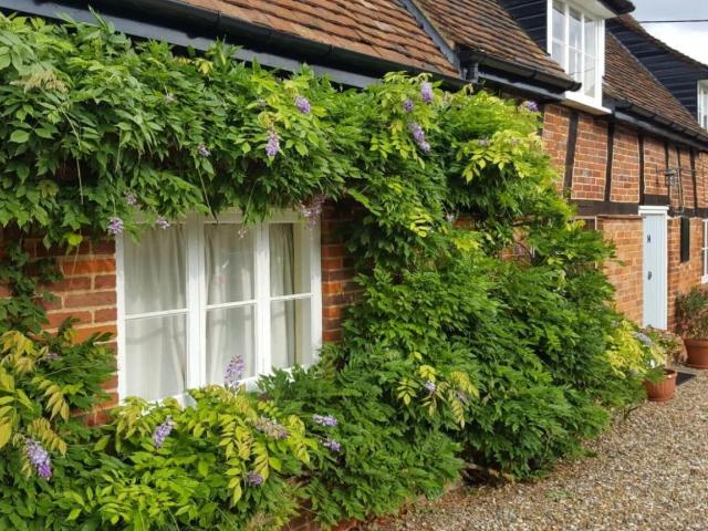 House for sale in Stewkley