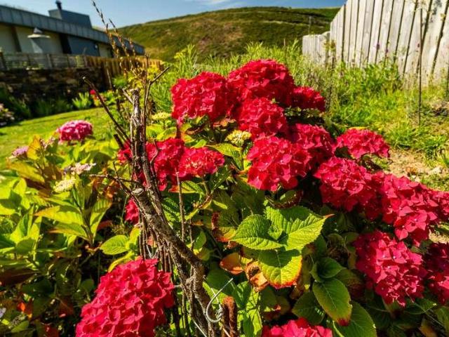 House for sale in Brawdy, Newgale