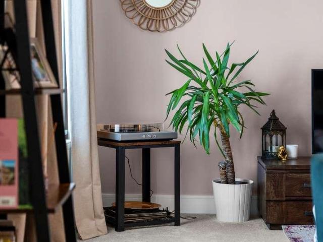 House for sale in Nunnery Wood, St Peters