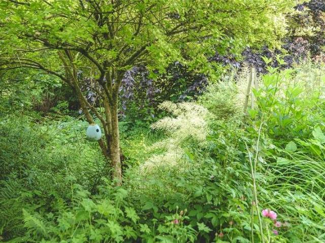 House for sale in Carno, Wales