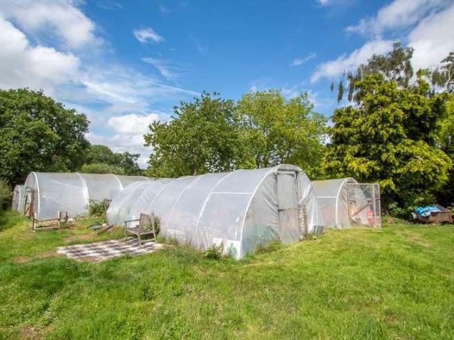 House for sale in Newton St Cyres, Devon