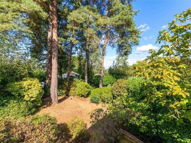 House for sale in Bolton Low Houses, Hampshire