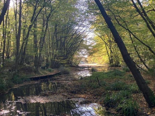 House for sale in Marle Green, Cross In Hand