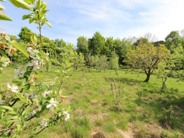 House for sale in Cross In Hand, East Sussex
